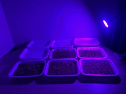 Фитолампа GreenHouse GR-8 з світильником-прищіпка фото від покупців 1