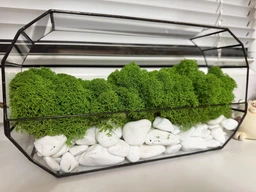 Моссариум MiNature Moss со стабилизированным мхом ягель норвежский фото от покупателей 2