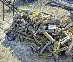 Ланцюгова пила Einhell X-Change FORTEXXA 18/20 TH (4600020)