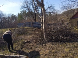 Пила ланцюгова Акумуляторна KOBZA з 2 акумуляторами 21 В (6 дюймів шина, 2 ланцюги, окуляри, рукавички, кейс) фото від покупців 12