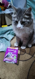 Вологий корм Whiskas для кошенят з куркою в желе 84шт*85 г фото від покупців 1