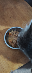 Упаковка вологого корму для кошенят Purina One Junior з лососем та морквою 26х85 г (7613287901965)