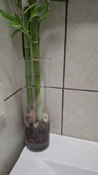 Ваза скляна Pasabahce Botanica 265 мм (43767)