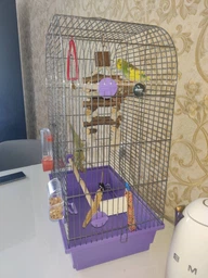 Клітка для птахів Природа Ауріка 44 x 65 x 28 см Хром/фіолетова (4823082414901)