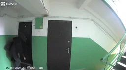 Дверной глазок EZVIZ HP4 с ответной станцией WiFi (6941545620954) фото от покупателей 2