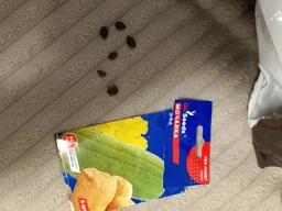 Семена Люфа (мочалка) GL Seeds 5шт (For Hobby804)
