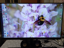 Монітор 24" Acer Vero V247YEbiv (UM.QV7EE.E02) FullHD IPS / 100Hz / 1 мс (VRB) / 6-Bit+FRC / FreeSync / Eyesafe / VisionCare фото від покупців 2