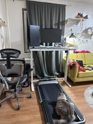 Бігова доріжка Kingsmith Walkingpad Treadmill R2 Black (TRR2FB) [105661] фото від покупців 12