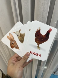 Карточки Домана ''Домашние животные'' на украинском языке, в наборе 15 карточек фото от покупателей 2