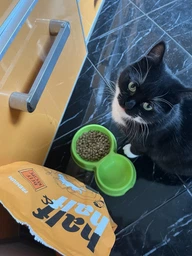 Сухой корм для кошек Half&Half Sterilized 8 кг, с говядиной фото от покупателей 3