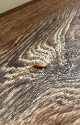 Средство от тараканов гель ТАРГАНИТ Cockroach Gel (1 шприц 30 мл), эффективный гель от тараканов, средство гель-паста для уничтожения тараканов ТАРГАНИТ Cockroach Gel, эффективно против распространенных видов тараканов рыжих, черных и прусаков фото от покупателей 1