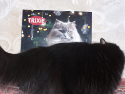 Адвент календарь лакомства для кошек Trixie PREMIO 30х34х3.5 см (211 г) (4047974092644) фото от покупателей 2