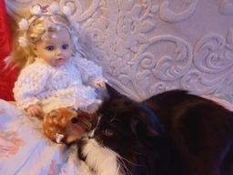 Іграшка для кота Trixie Мишка з пищалкою 8 см, плюш фото від покупців 3