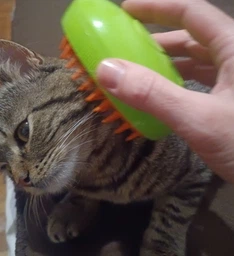 Паровая щетка расческа для вычесывания шерсти котов 3 в 1 Steamy Cat Brush Зеленая