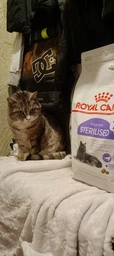 Сухой корм Royal Canin STERILISED 7+ для стареющих стерилизованных кошек 1.5 кг (3182550784566) фото от покупателей 12