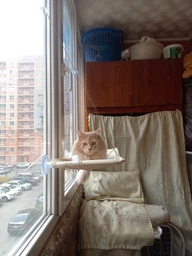 Лежанка для кота оконная VMHouse лежачок гамак для кошки спальное место на присосках розовый (0014-0004) фото от покупателей 19