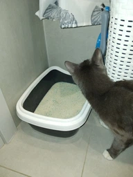 Туалет для котов Природа Comfort M 41 х 30 х 13 см Ультрамарин (4823082417384) фото от покупателей 1