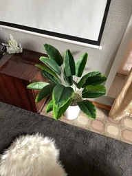 Декоративна штучна квітка - стреліція Planta Strelitzia тропічна рослина для декору дому / саду / офісу, 18 листків, 80 см, зелена "P" (98023103) фото від покупців 2