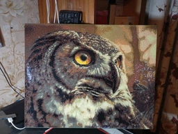 Алмазна мозаїка ColorArt 40x50 Сова SP110 фото від покупців 1