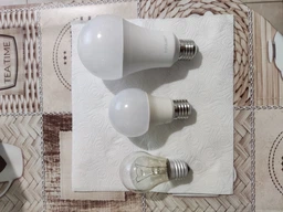 Лампочка Eurolamp (LED-A70-20274(P))