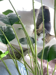 Декоративна штучна квітка - стреліція Planta Strelitzia тропічна рослина для декору дому / саду / офісу, 24 листки, 88 см, зелена (98022537) фото від покупців 3