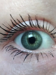 Тушьдля ресниц L'Oreal Paris Volume Million Lashes Panorama All Night Black для панорамного объема ресниц Экстрачерная 9.9 мл (30189010) фото от покупателей 19