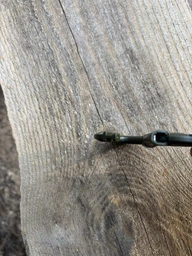 Набір 2 карабіни Mil-Tec Олива KARABINER ABS (2 ST./BLISTER) OLIV (15921001)
