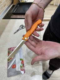 Кухонний складний швейцарський ніж серейтор Victorinox Vx67833.FB SwissClassic Foldable Paring 240 мм чорний