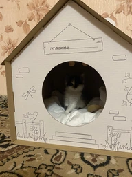 Домик для собак и кошек Lucky Pet ЭКО Домик "Уикенд" 45x45x45 см Белый (4820224213231) фото от покупателей 19