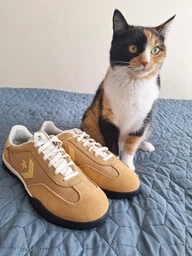Женские кроссовки Converse Run Star Trainer A10621C 36 (4US) 22 см Синие (194435313207) фото от покупателей 2