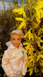 Кукла Barbie Dream Besties Ken JFX75 (0194735281916)