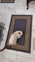 Килимок придверний, у передпокій, коридор MAC Carpet Taba 315 40х60 см Синій фото від покупців 5