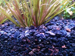 Субстрат для рослин лава чорна Aquaforest AF Lava Soil Black 5л. (738606) фото від покупців 1
