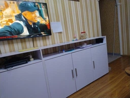 Антена кімнатна Т2 для телевізора тюнера ресивера DVB-T2 прийому ТБ каналів МХ+ДМХ цифрова потужна інноваційна Spider Antenna Digital для квартири будинку цифрового мовлення ефірного телебачення з максимальним прийомом сигналу фото від покупців 2