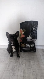 Корм сухий Savory Medium Breed Rich in Fresh Turkey та Lamb для дорослих собак середніх порід від 10 до 25 кг зі свіжим ягням 12кг фото від покупців 5