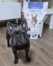 Гипоаллергенный сухой корм для собак средних и малых пород Happy Pet с телятиной 5 кг фото от покупателей 7