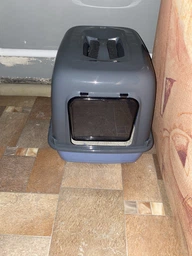 Закритий туалет для котів Ferplast Clear Cat 10 фісташково-сірий 47x36x35 см 72064099