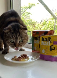 Упаковка влажного корма Half&Half для взрослых кошек кусочки с уткой и тыквой в соусе 85 г х 24 шт (2700000065747) фото от покупателей 4