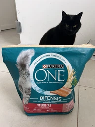 Сухой корм для кошек Purina One Steril Cat Salmon & Wheat 200 г (7613034765239) фото от покупателей 6