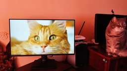 Монитор 25" MSI PRO MP252 Е2 -- FHD IPS / 120Hz / 1ms (MPRT) / sRGB 99% / Adaptive Sync / Less Blue Light / Anti-Flicker / Built-In Speaker 2W