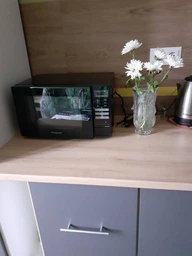 Мікрохвильова піч Panasonic NN-ST25HBZUE