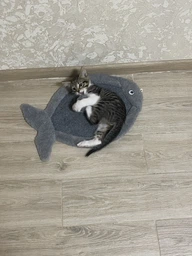 Дряпка-килимок Lucky Pet тканинна Карась, 30х44см