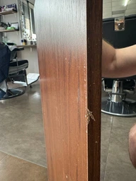 Комод для вещей Компанит 2Д Белый (Нимфея альба) фото от покупателей 1