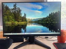 Монитор 25" MSI MAG 256F -- FullHD / Rapid IPS 180Hz / 1ms (GtG) / 8-Bit + FRC / DCI-P3 96% / Adaptive-Sync / HDMI 2.0