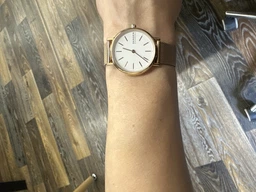 Женские часы SKAGEN SKW2694