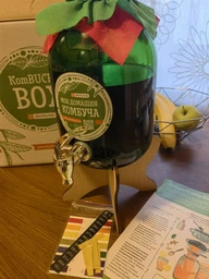 Набір для виготовлення Комбучі максимальний KomBUCHA BOX PRO
