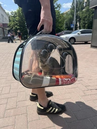 Сумка переноска mini Pet прозора для домашніх тварин (кішок, собак, кроликів і ін.) (Код: IBH010B) фото від покупців 2