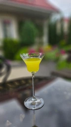 Келих для коктейлів ONIS Bespoke Martini 190 мл (440119)
