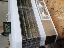 Сушарка для овочів та фруктів м'яса риби електрична 20 л EISEN EFD-055W 500 Вт 5 секцій/ярусів дегідрататор лоток 38 см