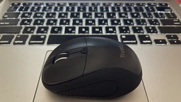 Миша Trust Primo BT Wireless Black (TR24966)
